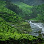 Monsoon Magic: Discover India’s Best Rainy Season Escapes